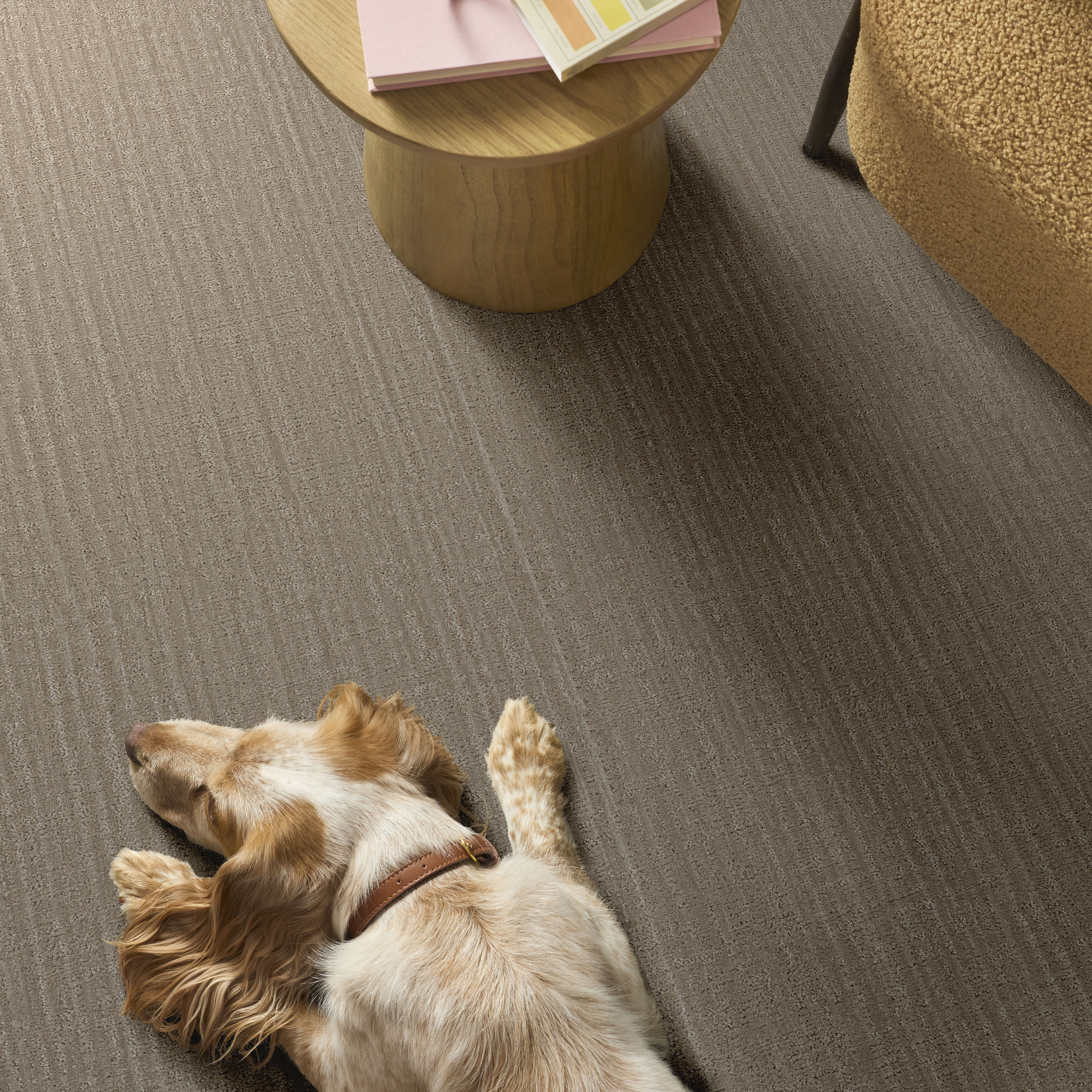 todayful　Brushed Volume Stole Shady Stroll - Cobblestone Carpet | Shaw Floors
